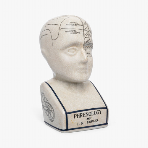 Ceramic phrenology head - phrenology,