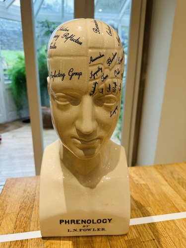 Ceramic phrenology head bust - phrenology,