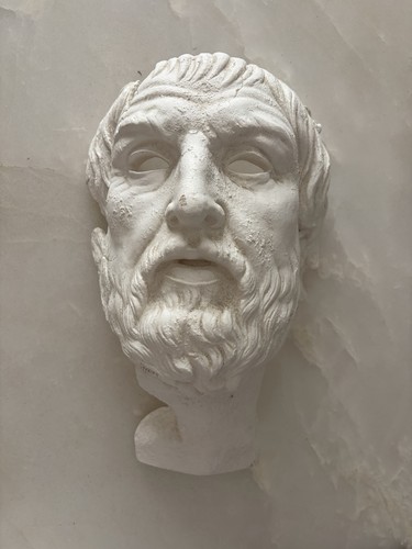 Plaster cast head art roman - head,