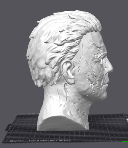 Custom michael myers head - head, bust