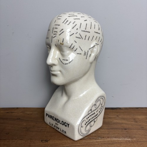 Ceramic phrenology head - head, bust