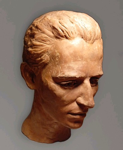Professional clay head - professional,