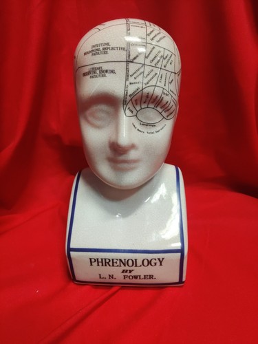 Phrenology bust head fowler - head,