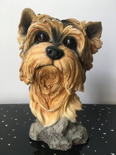Yorkshire terrier head bust - yorkshire,