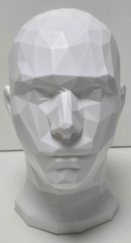 Planar head bust asaro - 12", bust-asaro