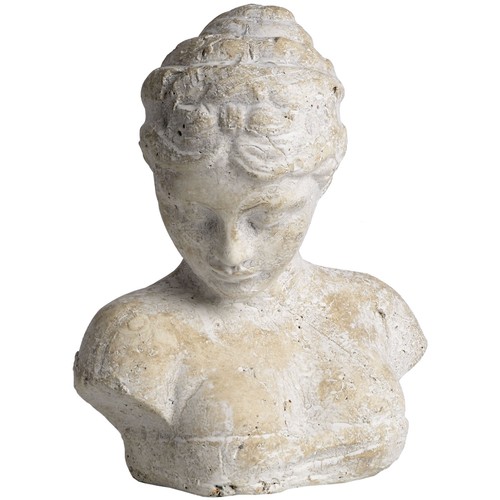 Ladies head bust - ladies,
