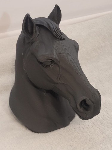 Horse head bust equestrian - horse,