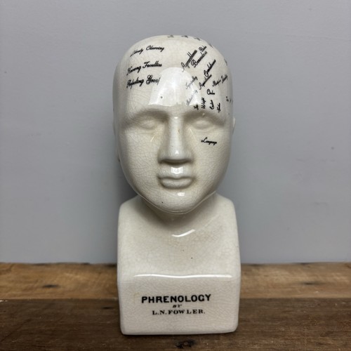Ceramic phrenology head bust - bust,
