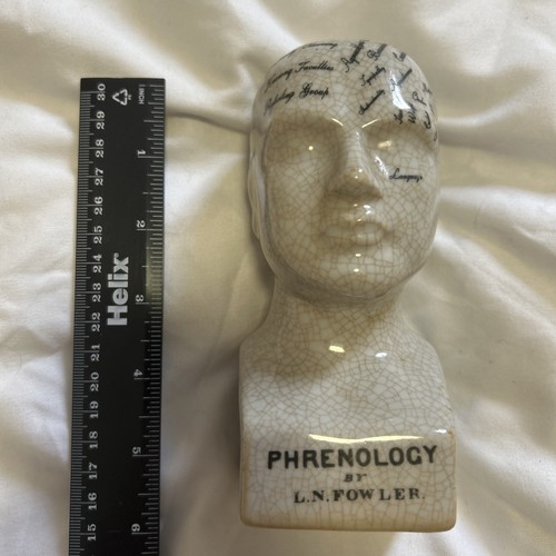 Ceramic phrenology head - ceramic, bust