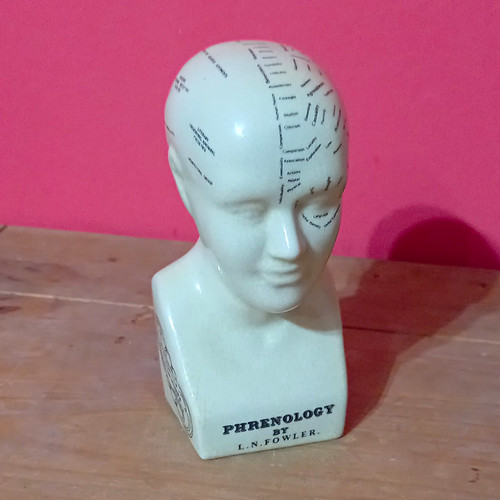 Fowler phrenology ceramic - l.n.,