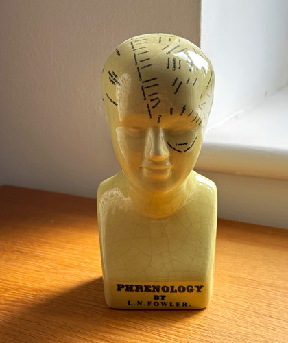 Phrenology head bust n - head,