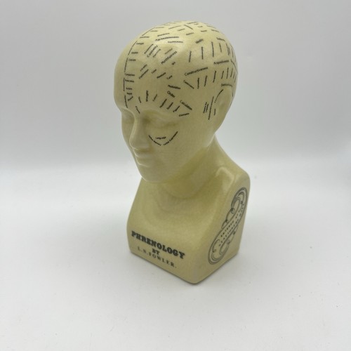 Vintage phrenology head - phrenology, l