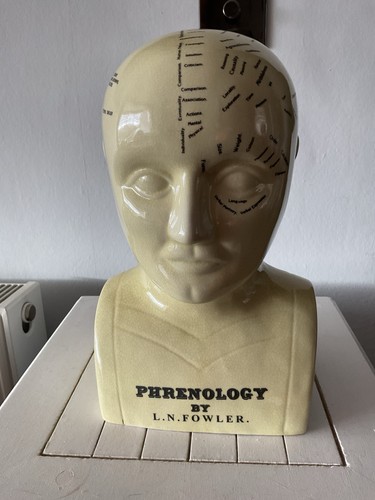 Vintage phrenology ceramic - vintage,