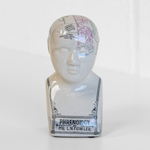 15cm small phrenology head - small,