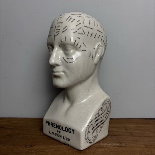 Ceramic phrenology head bust - phrenology,