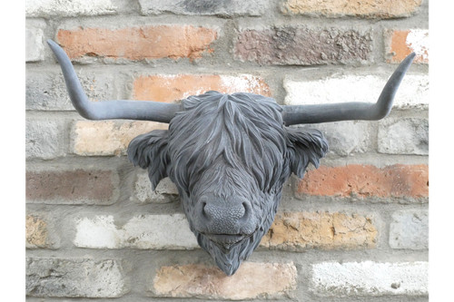 Highland cow head bust country - highland,