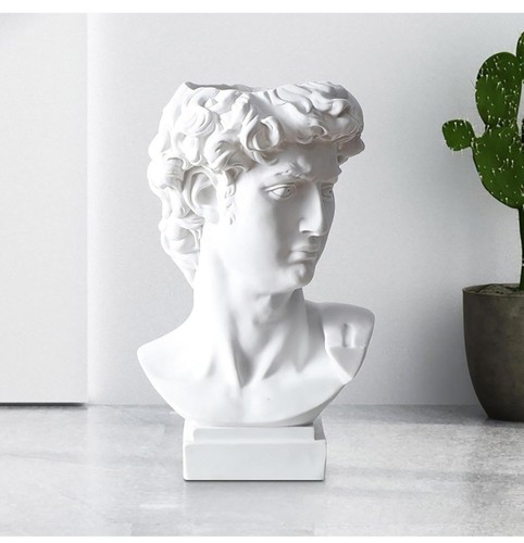 David head statue - statue,, bust