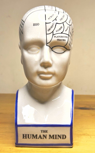 Ceramic glazed phrenology - glazed,