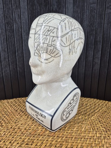 Vintage phrenology head bust - vintage,