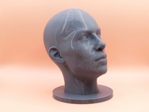 Female realistic head bust - realistic,