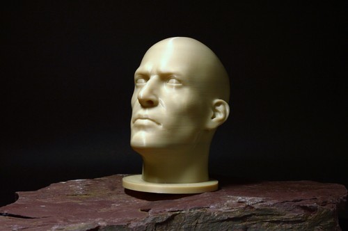 Male realistic head - head,