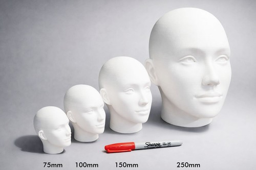 Female human head bust - female,